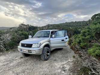 Wycieczka z Pafos do wąwozu Avakas Kanyon Mini Marathon