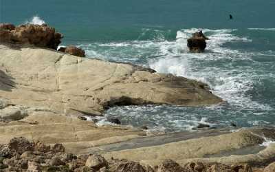 Wycieczka Marathon Jeep Safari - Narodowy Park Akamas z Larnaki